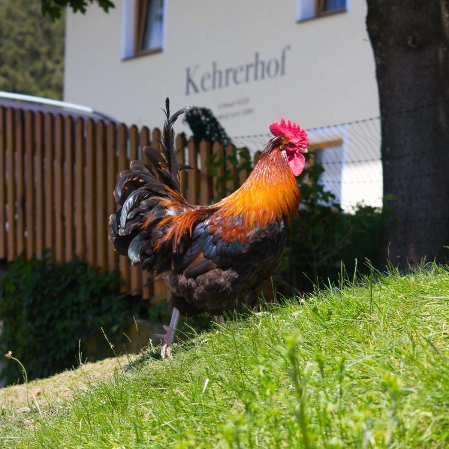 Kehrerhof Ellbögen Exterior foto